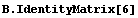 B . IdentityMatrix[6]