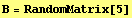 B = RandomMatrix[5]